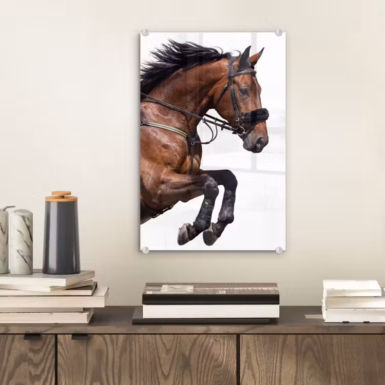 Glas schilderij - Paard - Springen - Modern — 2