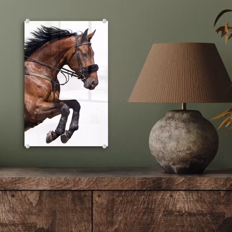 Glas schilderij - Paard - Springen - Modern — 4