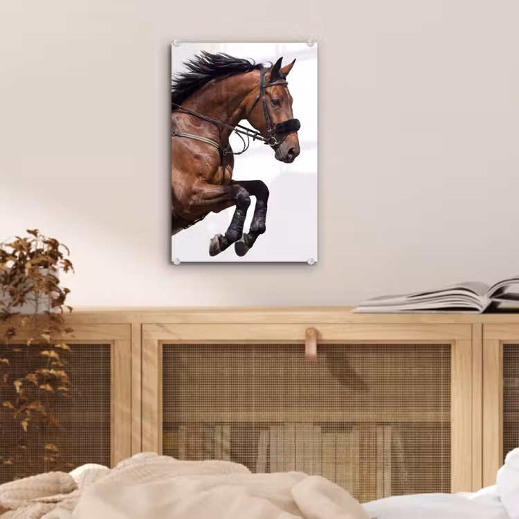 Glas schilderij - Paard - Springen - Modern — 5