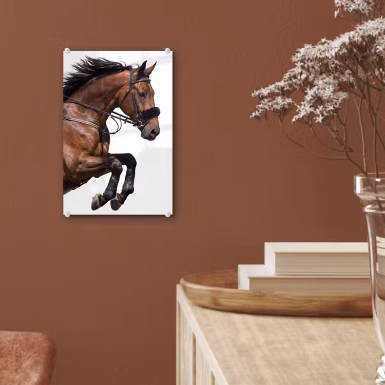 Glas schilderij - Paard - Springen - Modern — 6