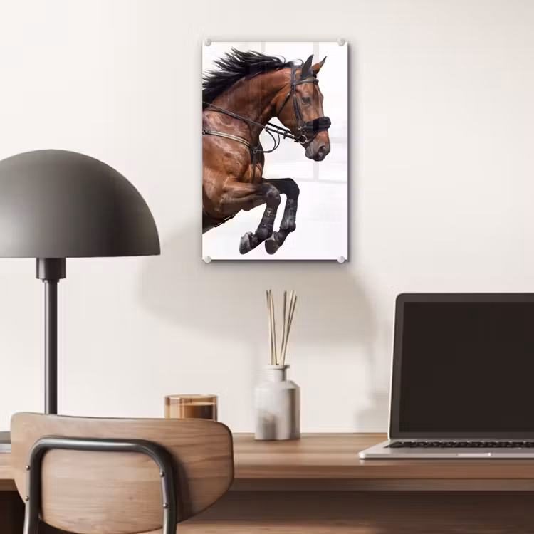 Glas schilderij - Paard - Springen - Modern — 7
