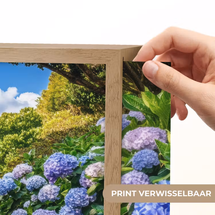 Lightbox - Wandlamp - Hortsensia - Pad - Bloemen — 5