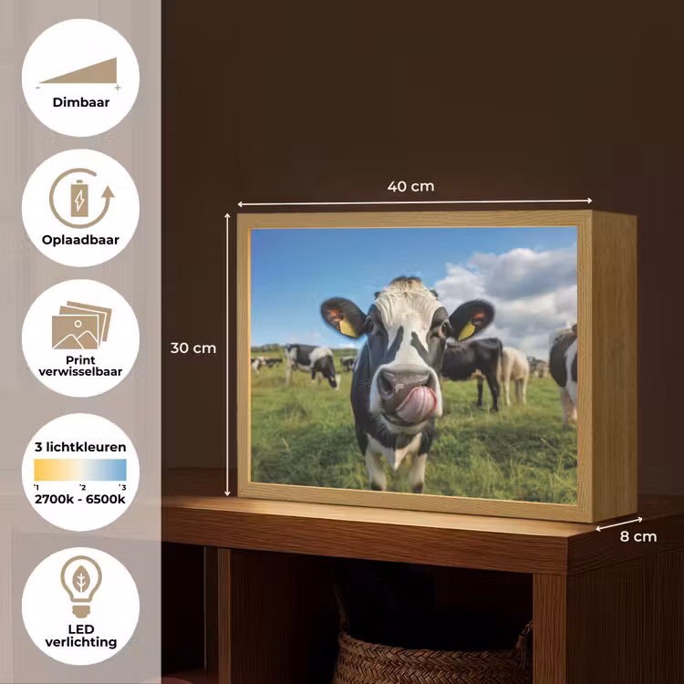 Lightbox - Wandlamp - Koe - Tong - Weide — 10