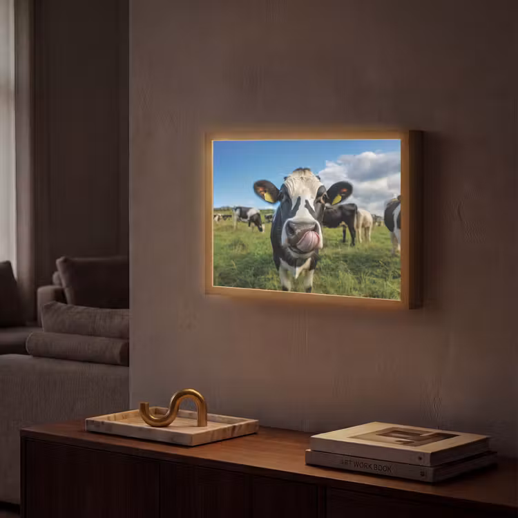 Lightbox - Wandlamp - Koe - Tong - Weide — 2