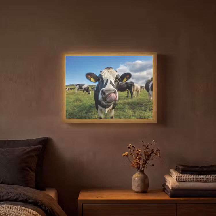 Lightbox - Wandlamp - Koe - Tong - Weide — 3