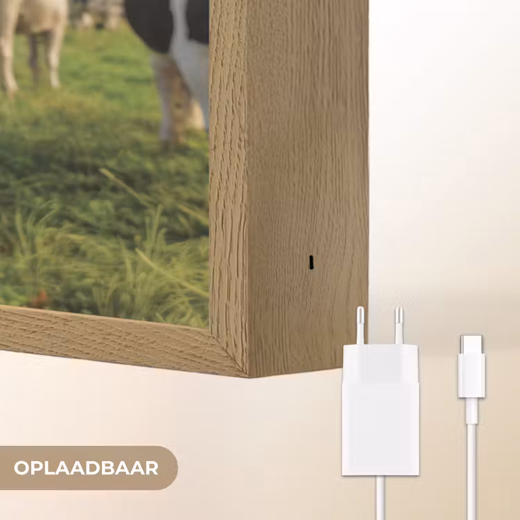 Lightbox - Wandlamp - Koe - Tong - Weide — 7