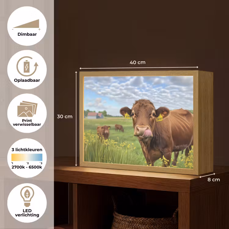 Lightbox - Wandlamp - Koe - Weide - Bloemen — 10