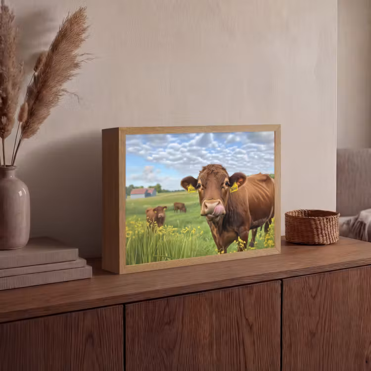 Lightbox - Wandlamp - Koe - Weide - Bloemen — 4