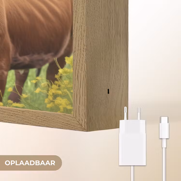 Lightbox - Wandlamp - Koe - Weide - Bloemen — 7