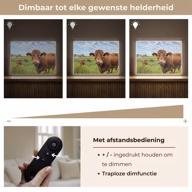 Lightbox - Wandlamp - Koe - Weide - Bloemen — 9