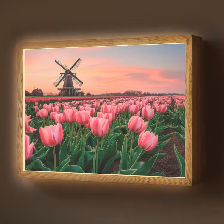 Lightbox - Wandlamp - Tulpen - Molen - Nederland — 1