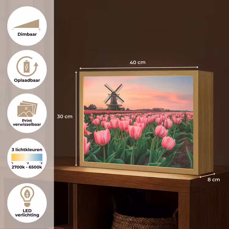 Lightbox - Wandlamp - Tulpen - Molen - Nederland — 10