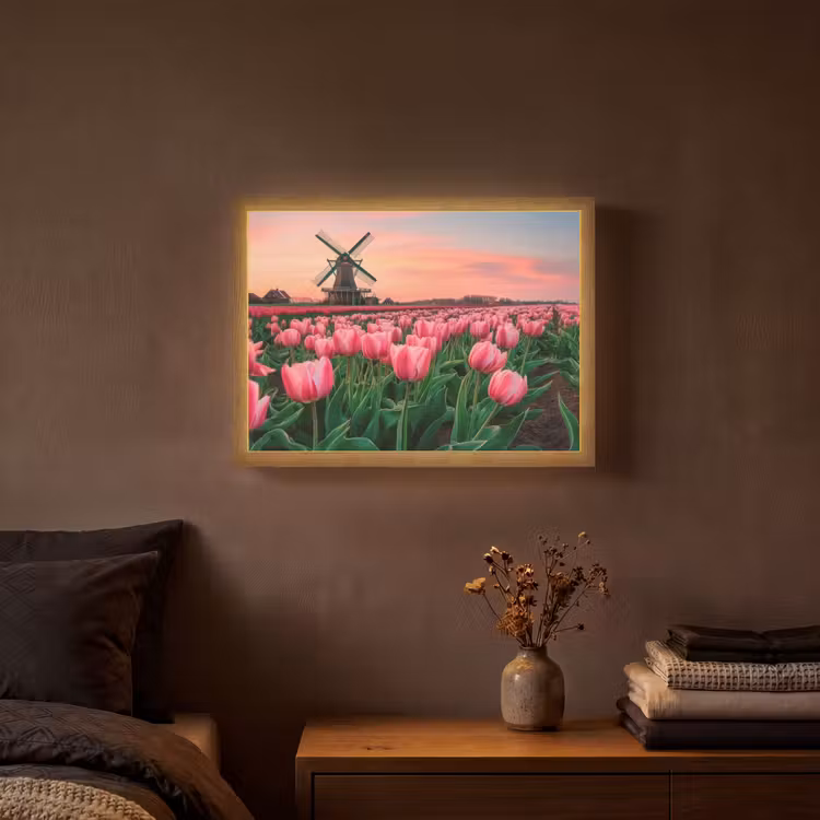 Lightbox - Wandlamp - Tulpen - Molen - Nederland — 3