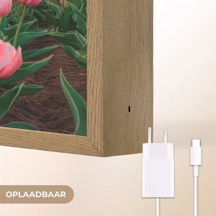 Lightbox - Wandlamp - Tulpen - Molen - Nederland — 7