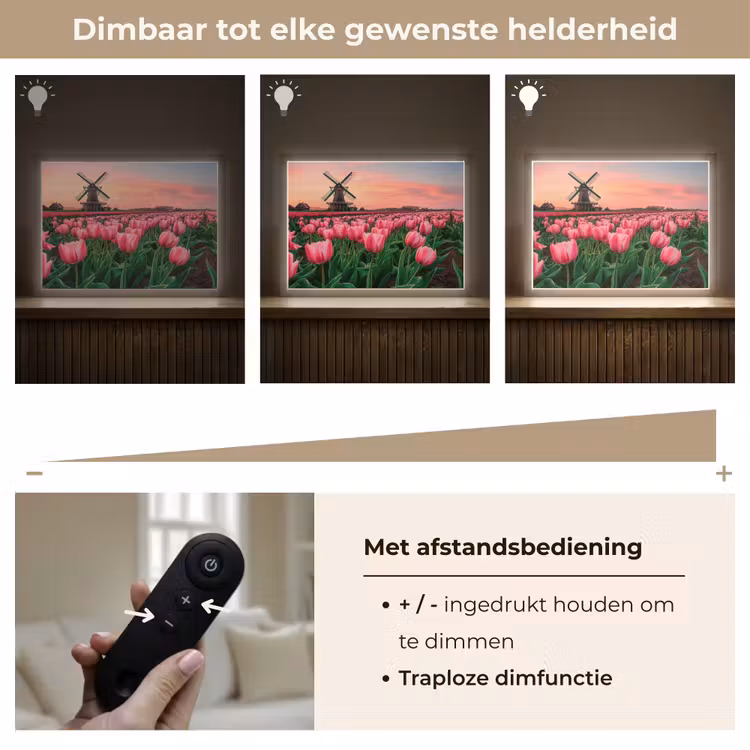 Lightbox - Wandlamp - Tulpen - Molen - Nederland — 9