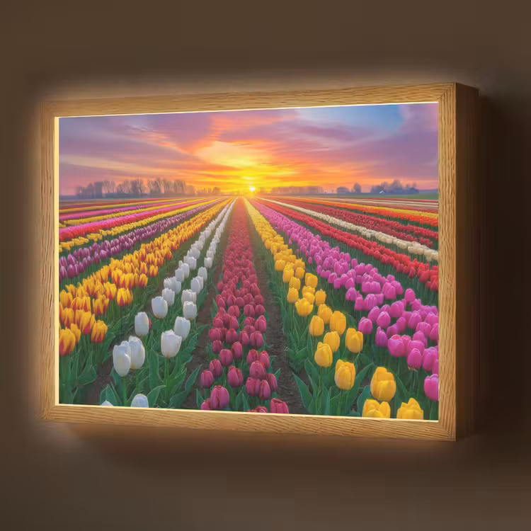Lightbox - Wandlamp - Tulpenveld - Zonsondergang - Kleurrijk — 1