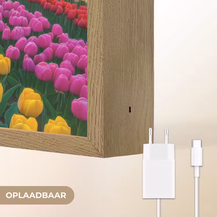 Lightbox - Wandlamp - Tulpenveld - Zonsondergang - Kleurrijk — 7