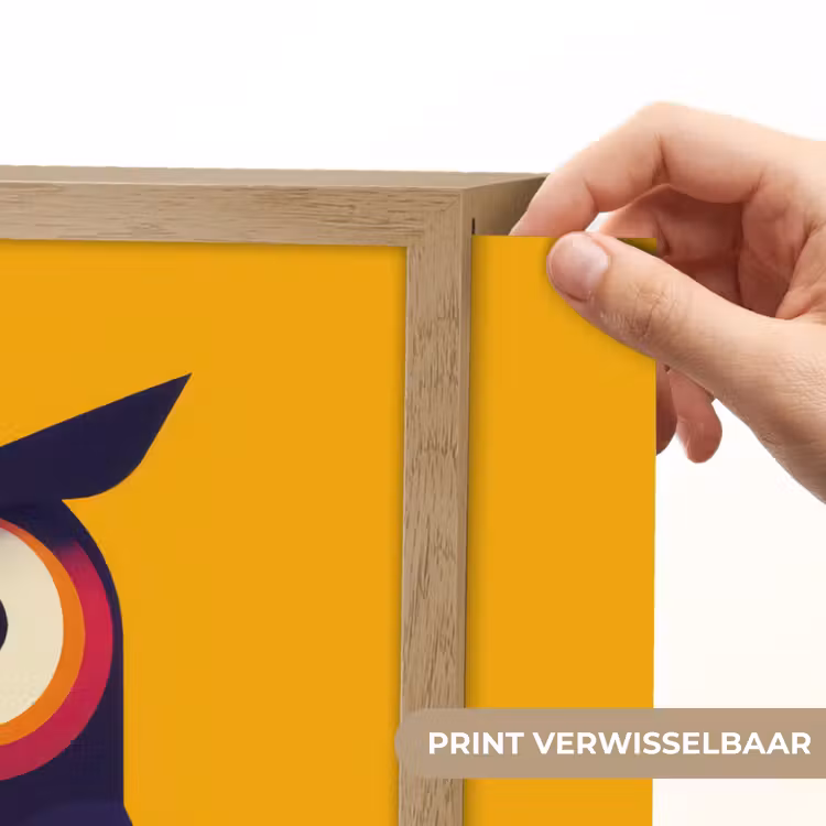 Lightbox - Wandlamp - Uil - Grafisch - Kleurrijk - Ogen — 5