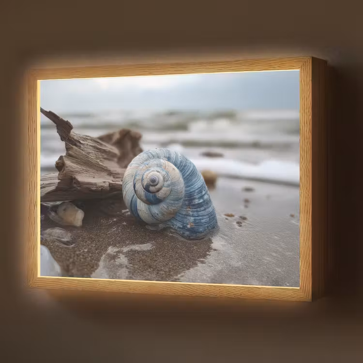 Lightbox - Wandlamp - Schelp - Strand - Blauw - Zee — 1