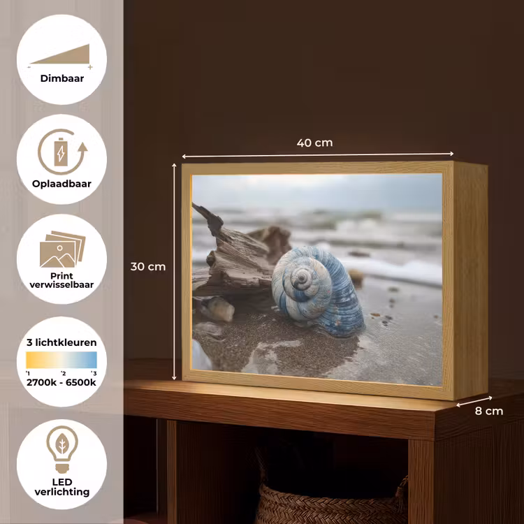 Lightbox - Wandlamp - Schelp - Strand - Blauw - Zee — 10