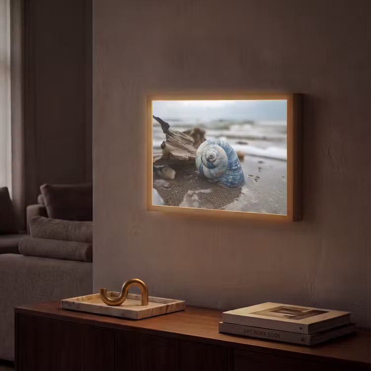 Lightbox - Wandlamp - Schelp - Strand - Blauw - Zee — 2
