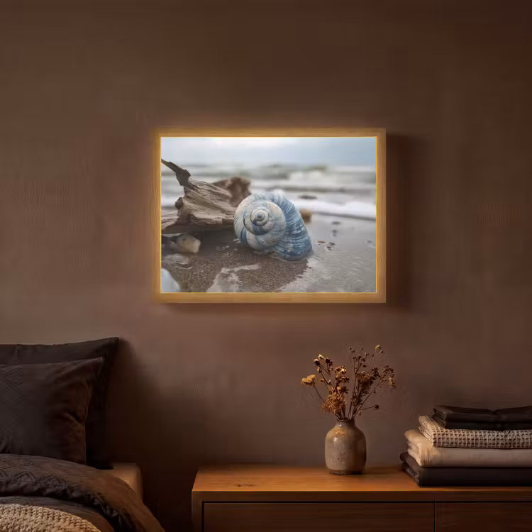 Lightbox - Wandlamp - Schelp - Strand - Blauw - Zee — 3