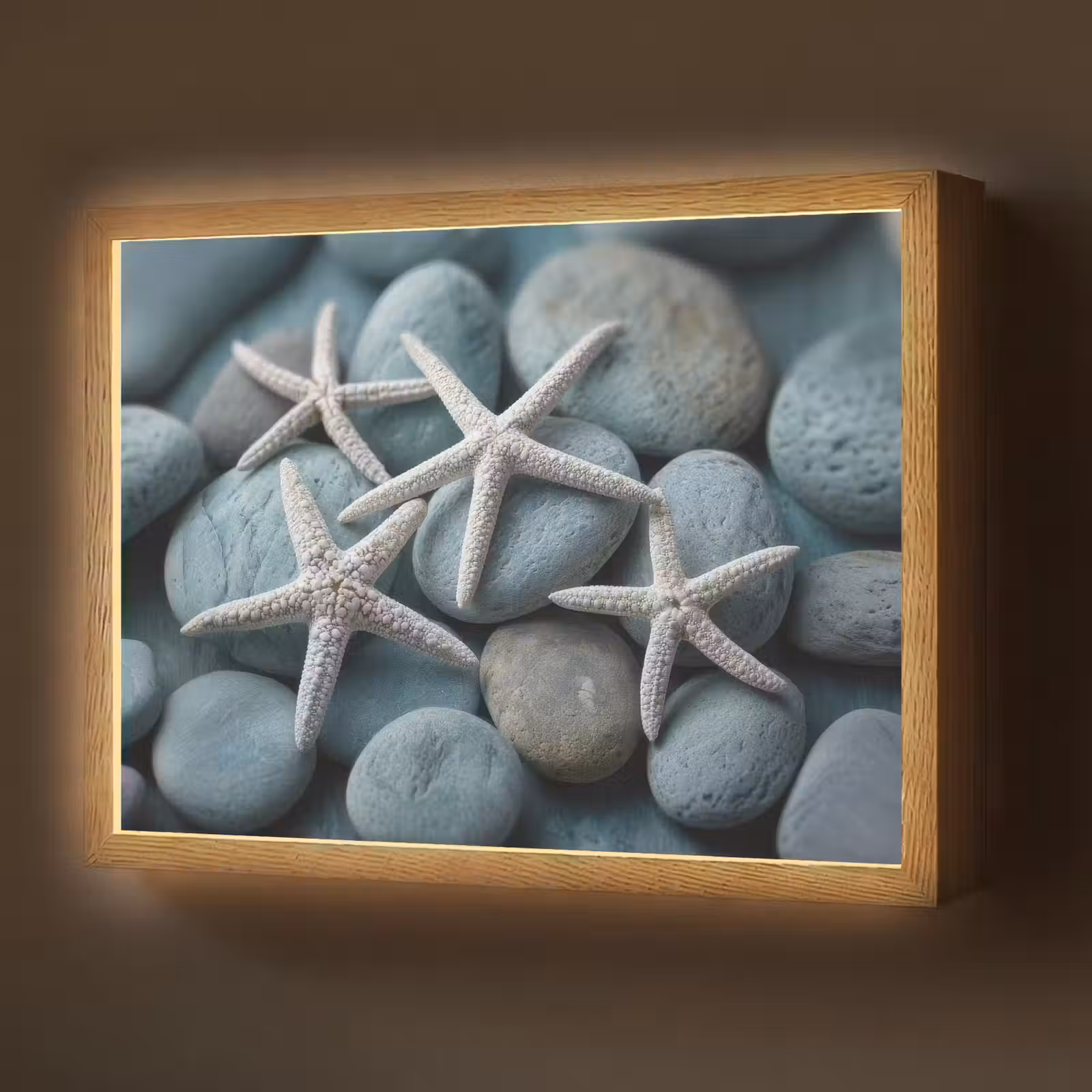 Lightbox - Wandlamp - Zeesterren - Stenen - Wit — 1
