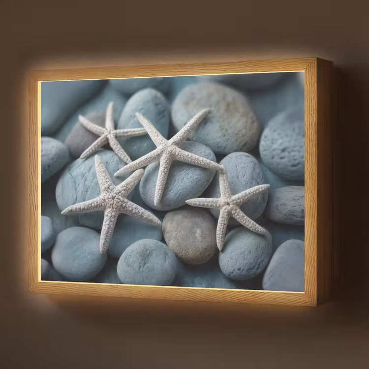 Lightbox - Wandlamp - Zeesterren - Stenen - Wit — 1