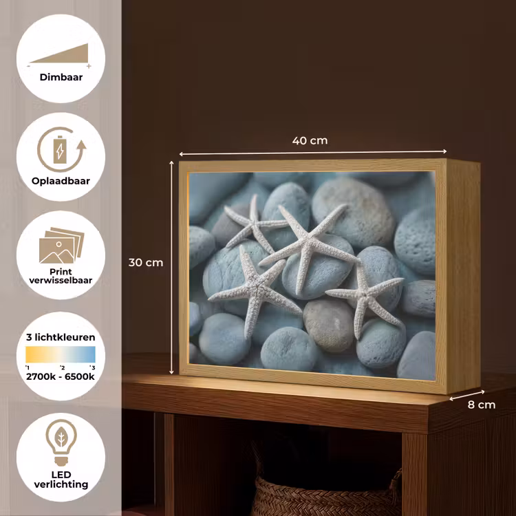 Lightbox - Wandlamp - Zeesterren - Stenen - Wit — 10