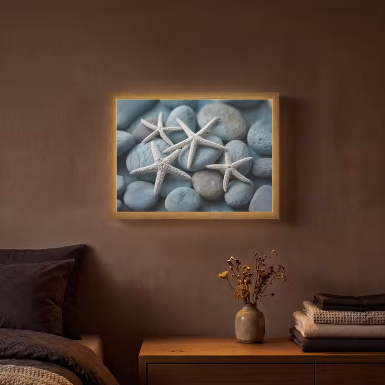 Lightbox - Wandlamp - Zeesterren - Stenen - Wit — 3