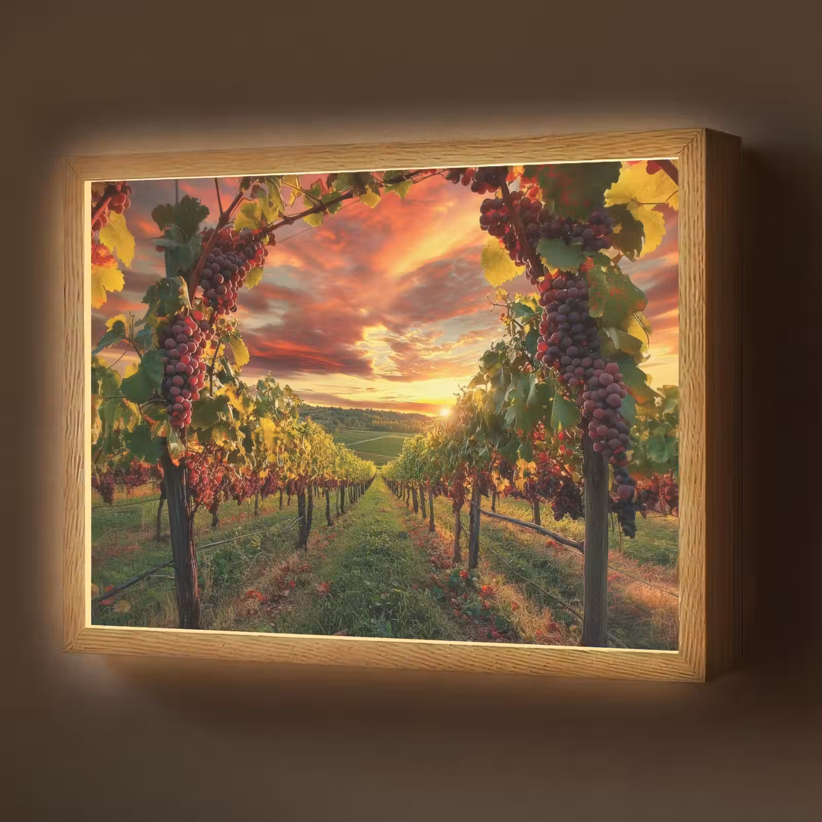Lightbox - Wandlamp - Wijngaard - Druiven - Zonsondergang — 1