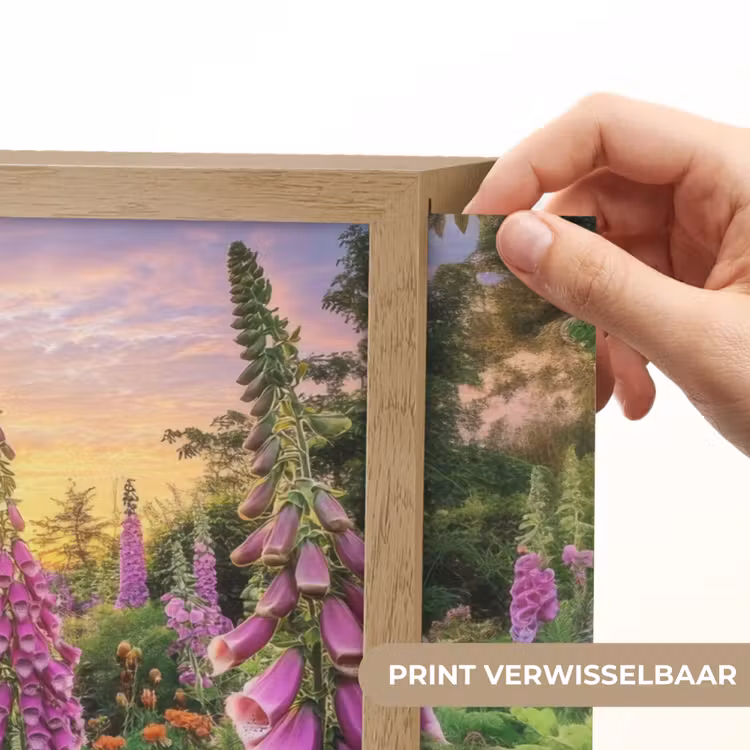 Lightbox - Wandlamp - Vingerhoedskruid - Bloemen - Tuin — 5