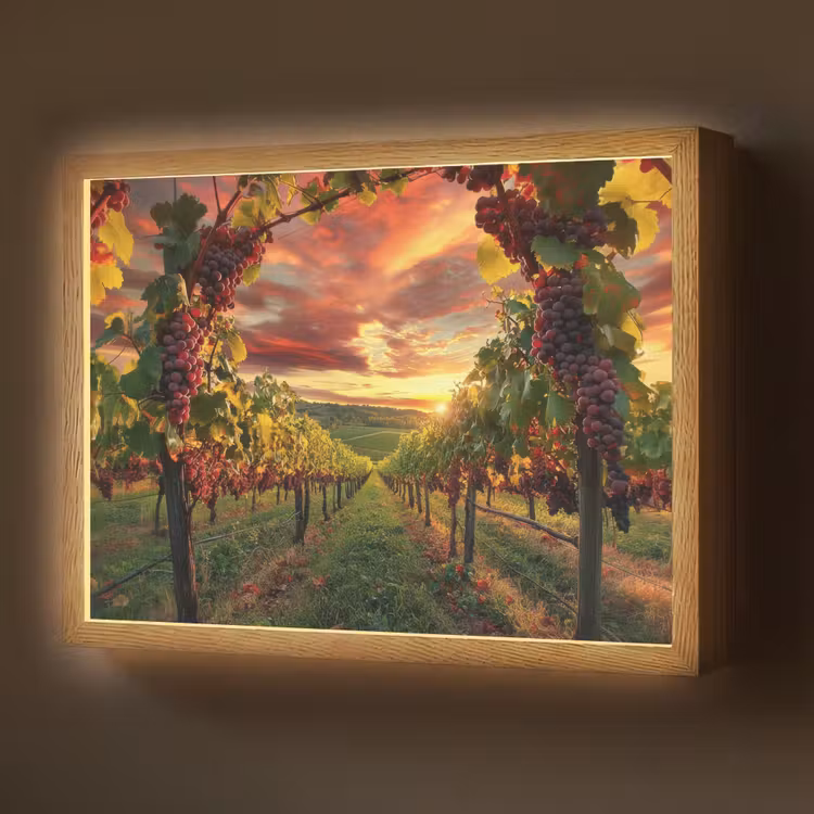 Lightbox - Wandlamp - Wijngaard - Druiven - Zonsondergang — 1