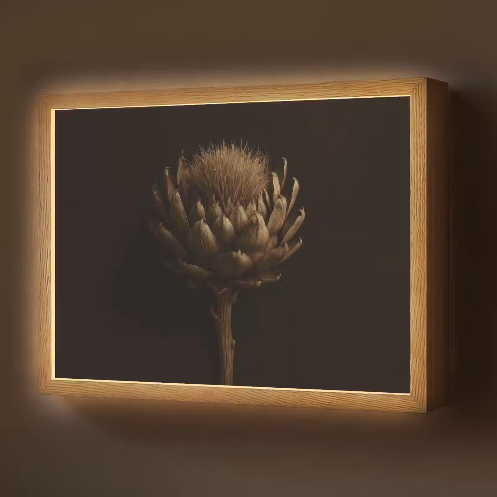 Lightbox - Wandlamp - Donkerbruin - Bloem - Textuur - Artisjok — 1