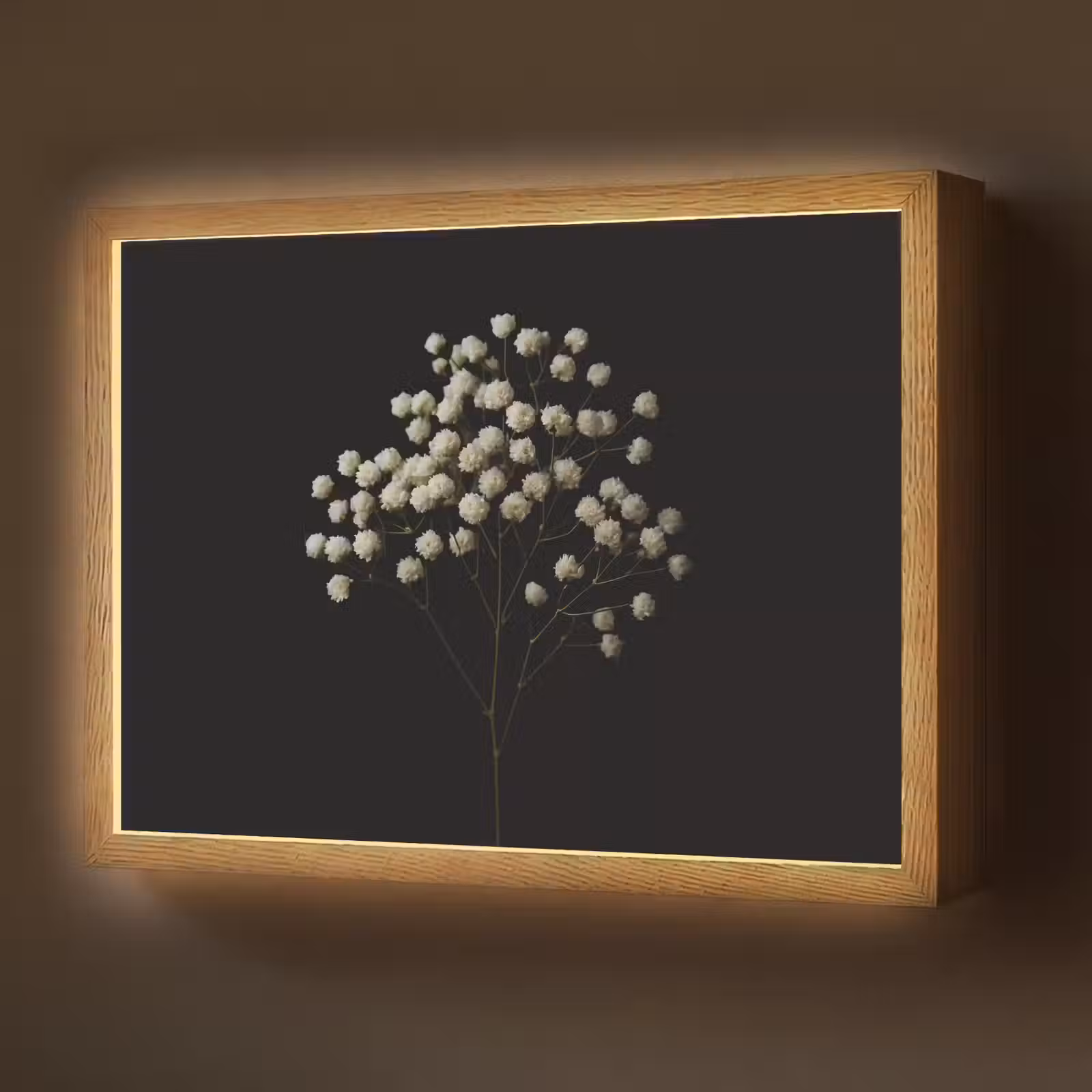 Lightbox - Wandlamp - Gipskruid - Bloemetjes - Wit - Minimalistisch — 1