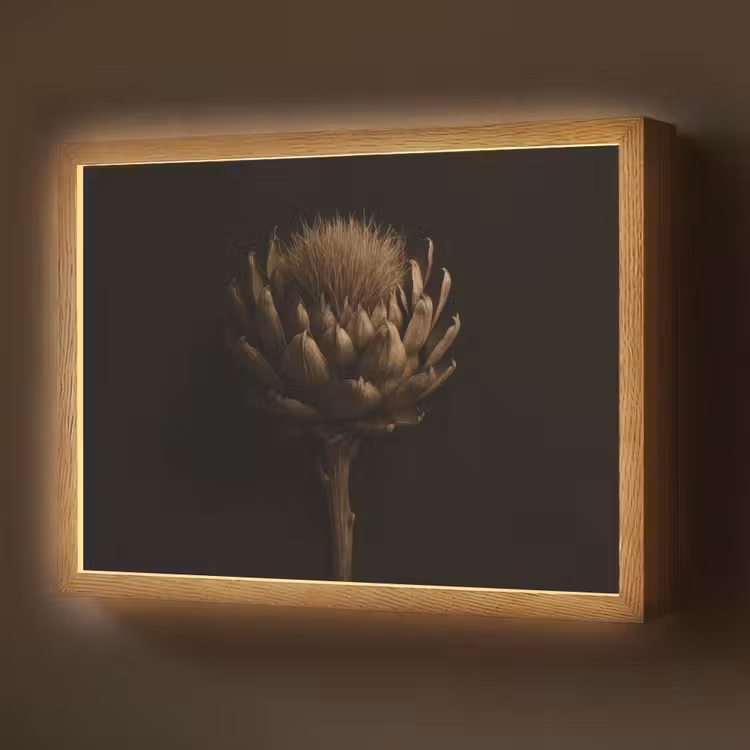 Lightbox - Wandlamp - Donkerbruin - Bloem - Textuur - Artisjok — 1