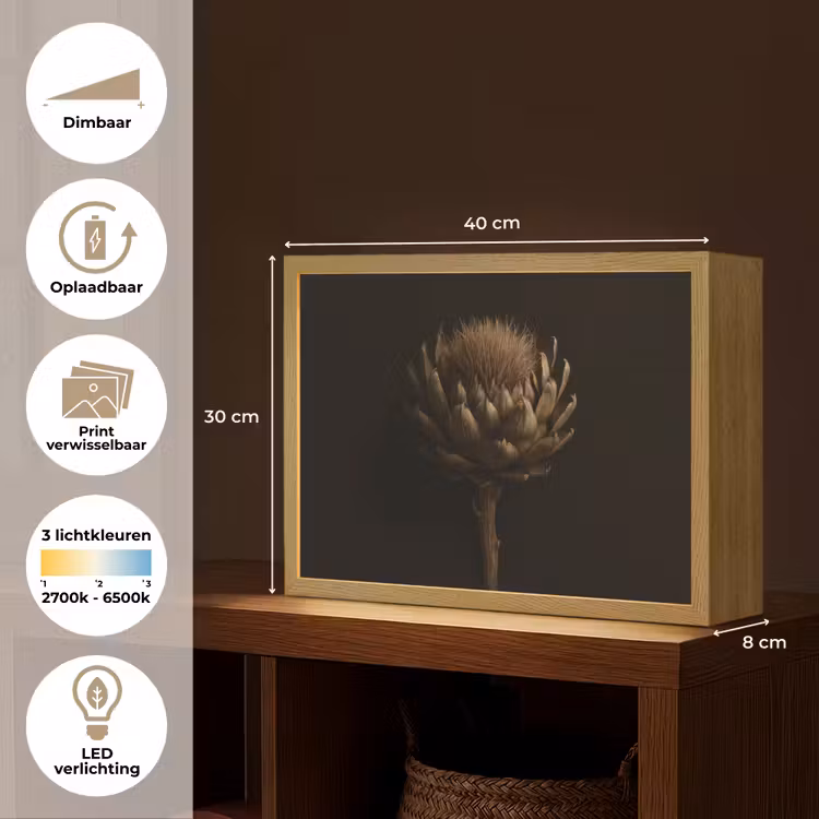 Lightbox - Wandlamp - Donkerbruin - Bloem - Textuur - Artisjok — 10