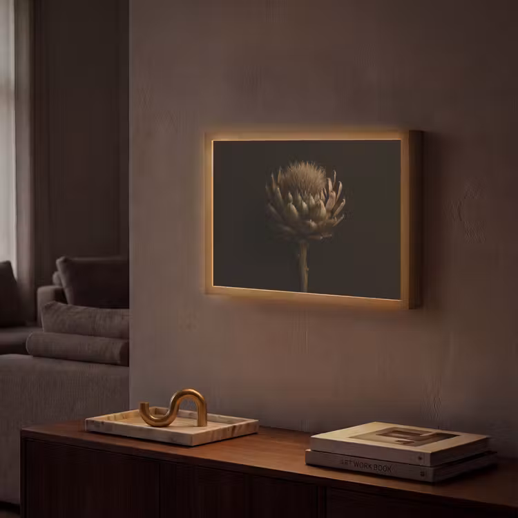 Lightbox - Wandlamp - Donkerbruin - Bloem - Textuur - Artisjok — 2
