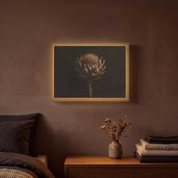 Lightbox - Wandlamp - Donkerbruin - Bloem - Textuur - Artisjok — 3