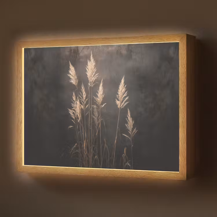 Lightbox - Wandlamp - Siergras - Pluimen - Verlichting - Zwart — 1