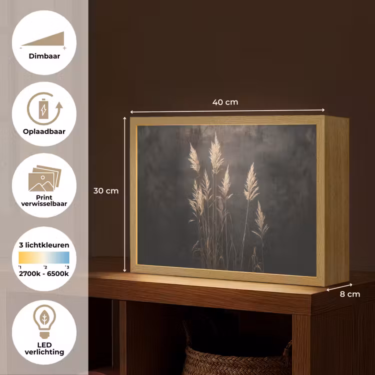 Lightbox - Wandlamp - Siergras - Pluimen - Verlichting - Zwart — 10