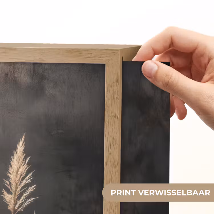 Lightbox - Wandlamp - Siergras - Pluimen - Verlichting - Zwart — 5