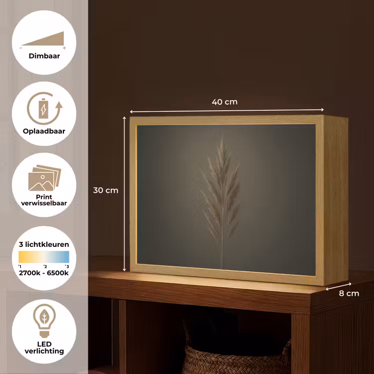 Lightbox - Wandlamp - Tak - Pluimgras - Donkerbruin — 10
