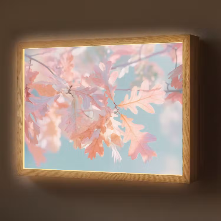 Lightbox - Wandlamp - Eikenbladeren - Takken - Roze — 1