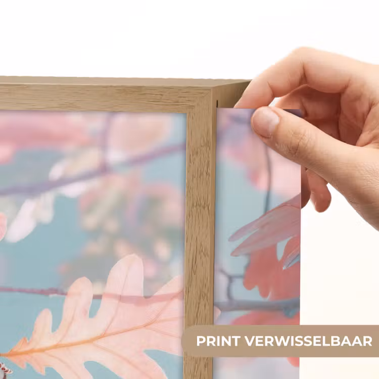 Lightbox - Wandlamp - Eikenbladeren - Takken - Roze — 5