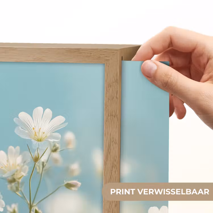 Lightbox - Wandlamp - Stengels - Bloemen - Lucht - Wit — 5