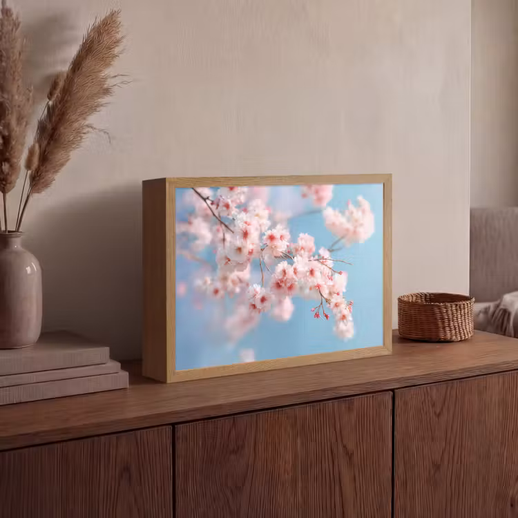 Lightbox - Wandlamp - Takken - Bloesems - Roze — 4