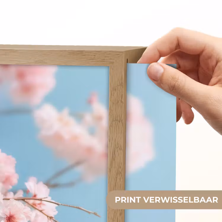 Lightbox - Wandlamp - Takken - Bloesems - Roze — 5