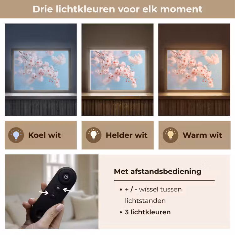 Lightbox - Wandlamp - Takken - Bloesems - Roze — 8