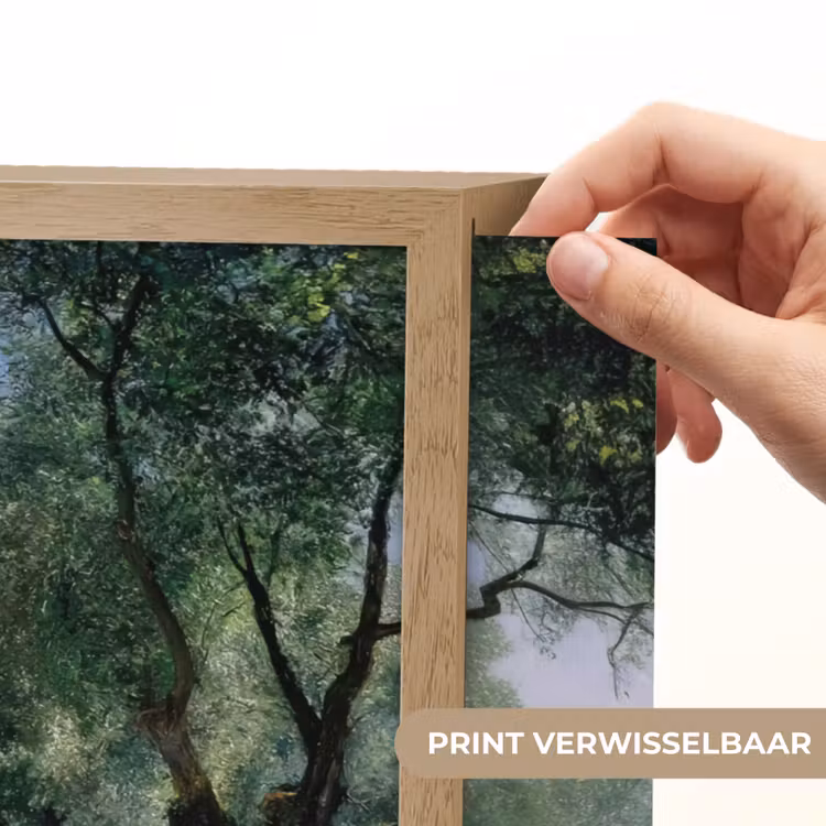 Lightbox - Wandlamp - Pad - Bomen - Schaduw - — 5